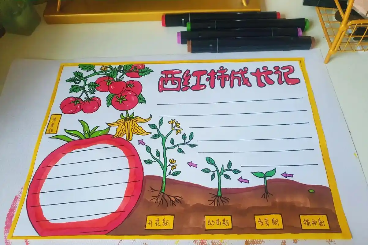 西红柿成长记录 #植物观察手抄报 # - 抖音