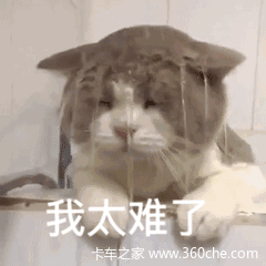 斗图有啥难这波表情包为你强势助攻