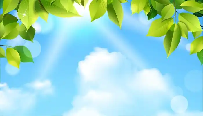 小清新背景蓝天白云清新植物花朵梦幻阳光春天春季唯美素材背景绿色