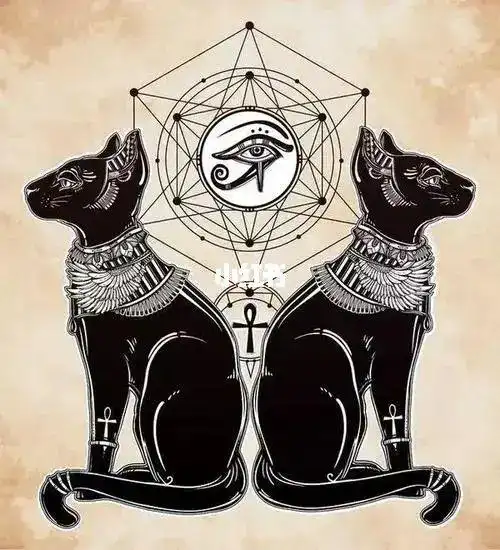 破产版贝斯特猫神