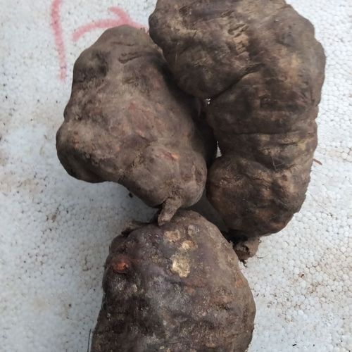 千年何首乌生首乌 统货500g【图片 价格 品牌 报价】-京东