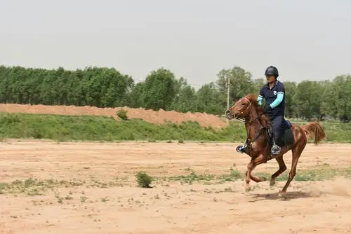 文峰马术俱乐部周末快乐骑行
