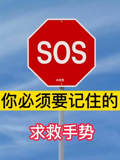 国际通用的求救手势