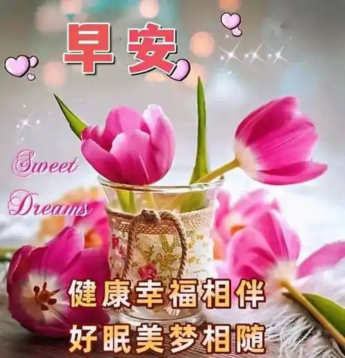 最新版早安问候大全,早上好新版祝福问候句子精选