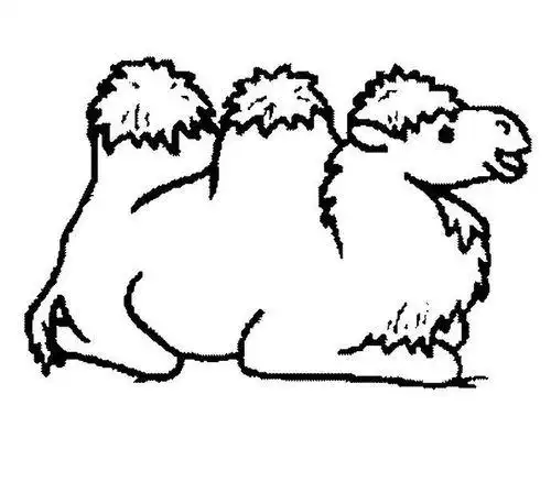 小骆驼简笔画涂色简单