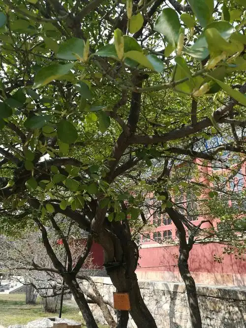 弹指春秋!瞬间百年