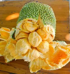 【52赞友】 喔神推荐【海南榴莲蜜】顺丰sf一件包邮