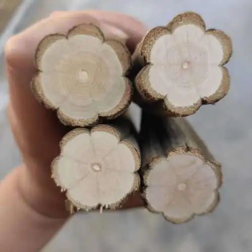 降龙木原木棍五台山六道九道木木手把件拐杖佛珠料雕刻料需直径约2