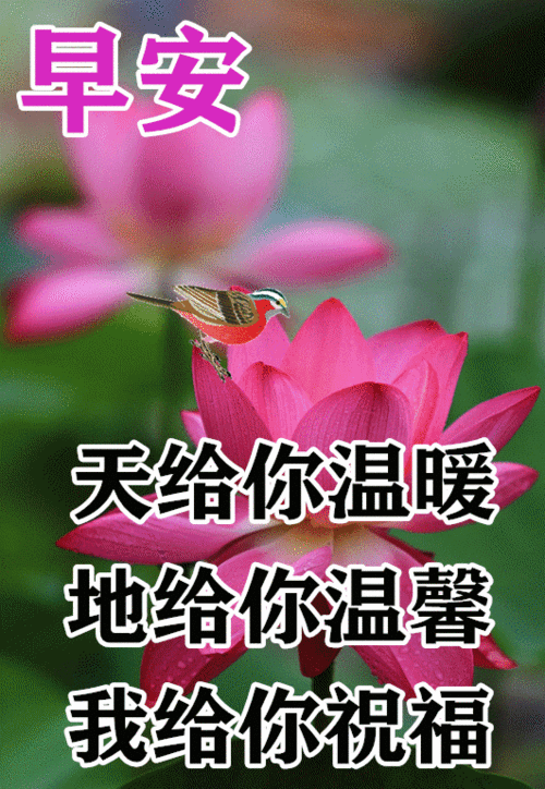 12月1日周三清晨早上好问候祝福动态表情图片12月最新早安问候语动态