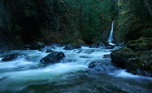 加拿大原装进口 bice(碧希)天然冰川水 促销活动正在进行中!