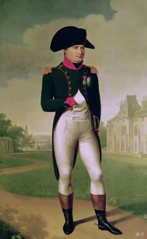 拿破仑·弗朗索瓦·约瑟夫·夏尔·波拿巴