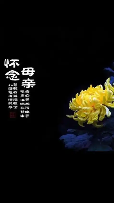 娘,您在那里还好吗?您离开孩儿整整一个月了, - 抖音