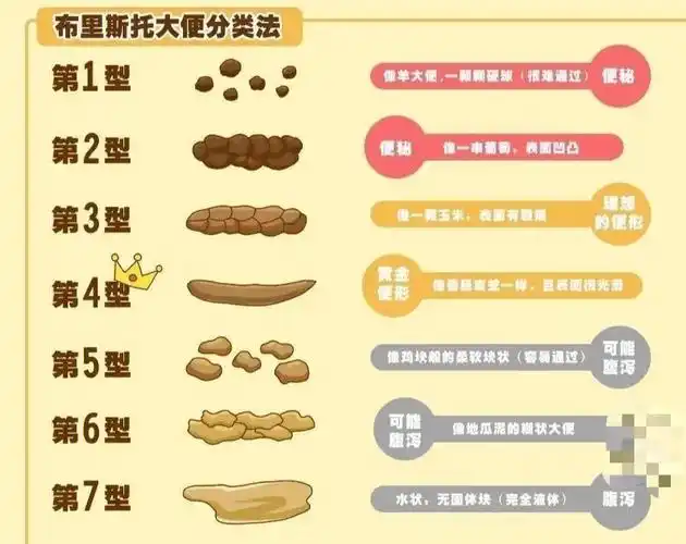 9797"布里斯特大便分类法"是世界公认的最权威的健康评估方法.