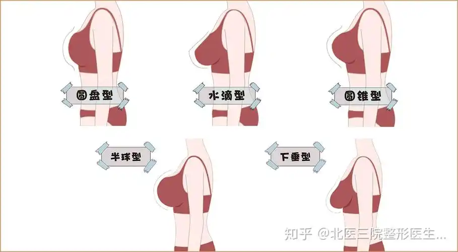 乳房的美学标准你和完美乳房之间差了点什么