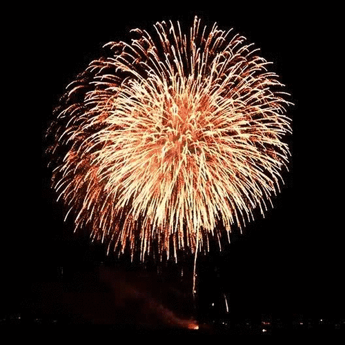 528_528gif 动态图 动图