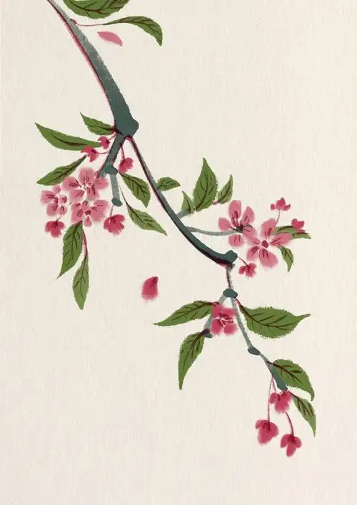 古风花花草草合集