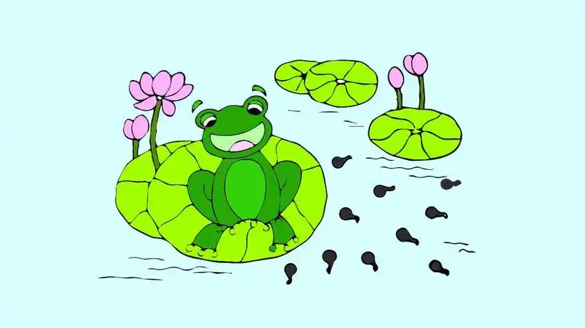 小蝌蚪找妈妈的故事绘本图画简笔画