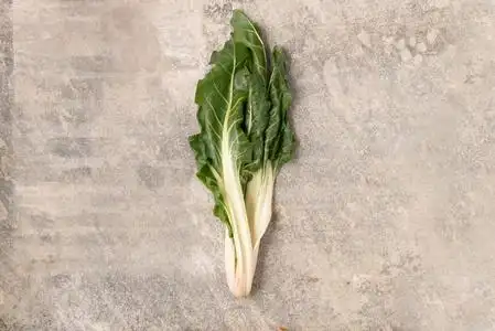 常见的甜菜图片