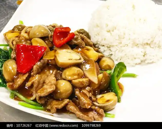 鲜菇牛肉饭摄影