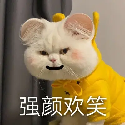差不多是只废猫