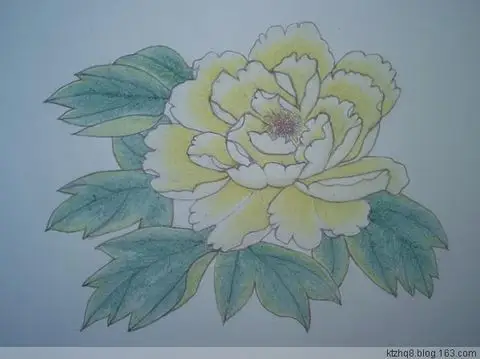 白色牡丹花彩色铅笔画作品