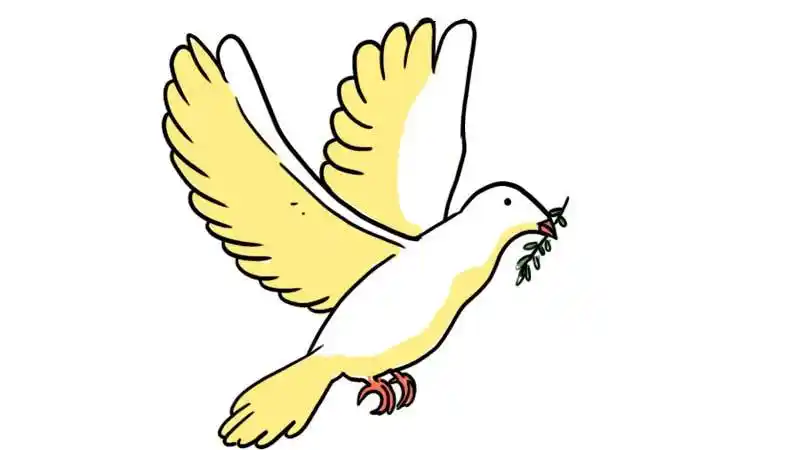 和平鸽涂色教程
