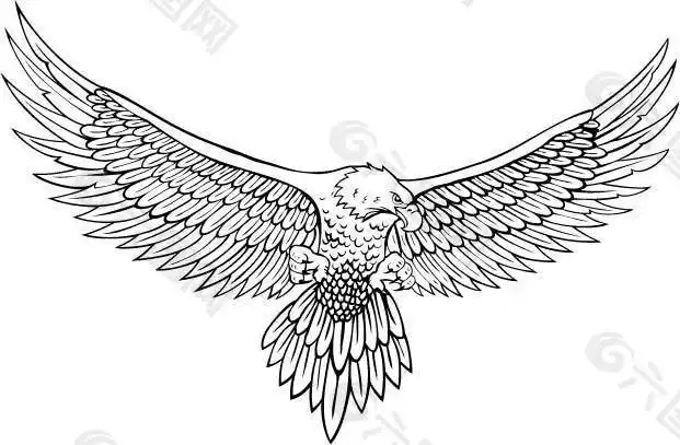 一款展翅欲飞的雄鹰白描矢量素材