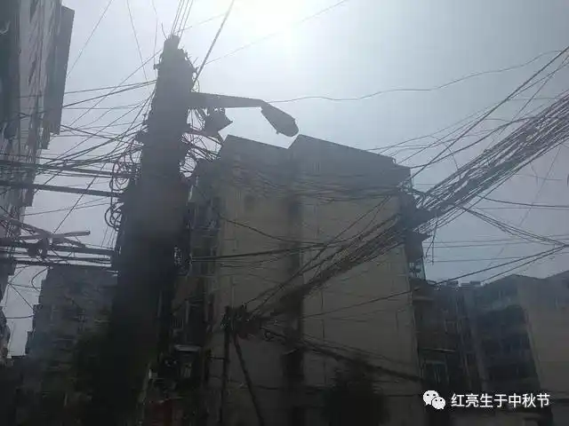 洛阳东下池:柳暗花明又一村