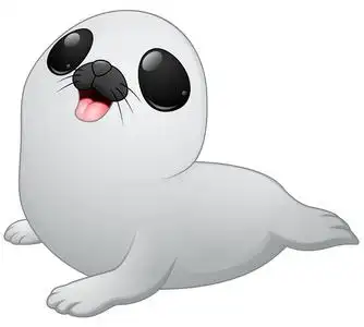 小海豹图片