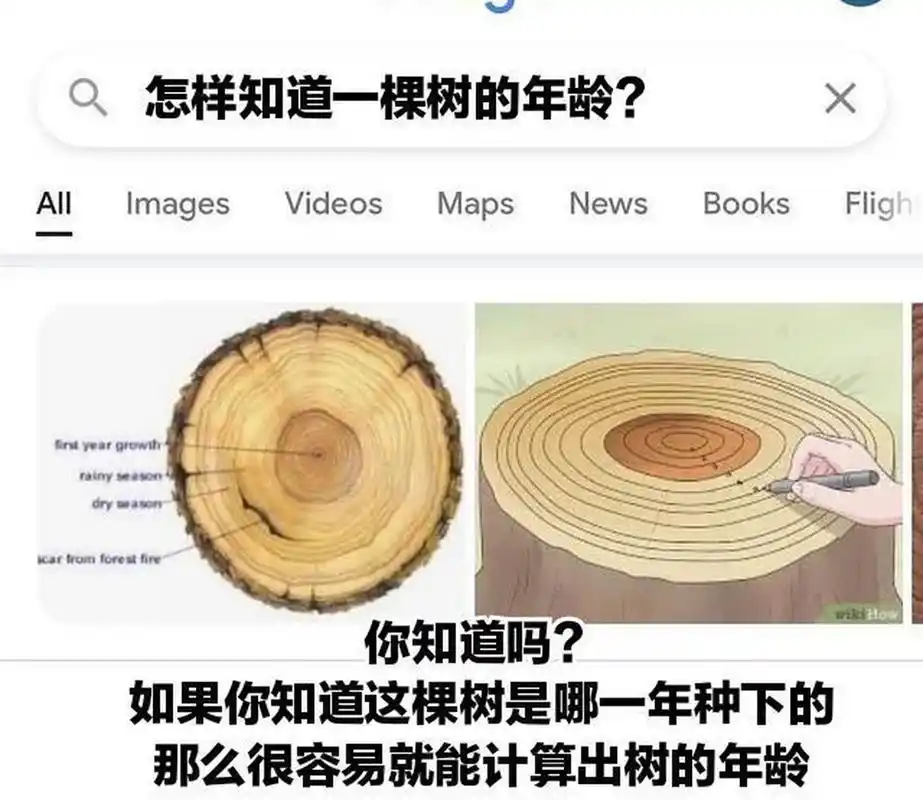 受教了,原来是这样计算树的年龄[尬笑]