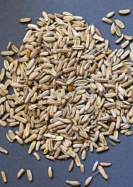 茴香籽,茴香