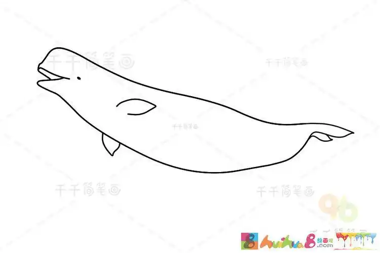 海底小纵队白鲸简笔画
