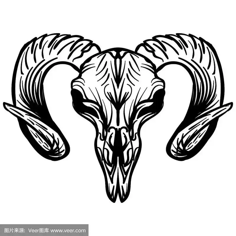 山羊头骨手绘孤立在白色