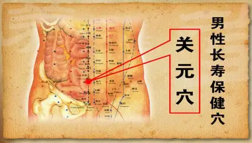 长寿指中求Ⅱ2,保健按摩