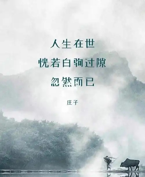 人生在世恍若白驹过隙忽然而已