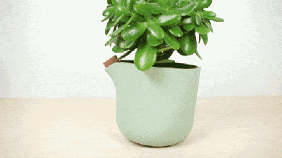 会自己浇水的「自然平衡」花盆,用最直观的方式告诉你何时添水