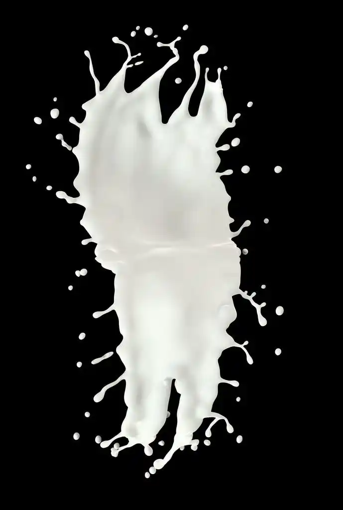 牛奶溅,在黑色背景上分离的牛奶飞溅.