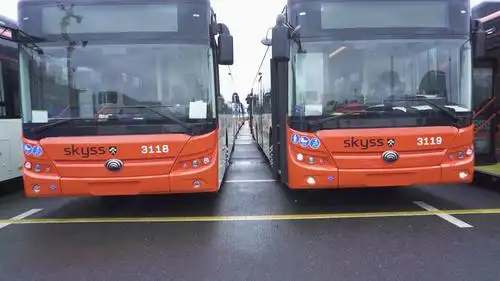 102辆宇通客车发往挪威创欧洲纯电单笔最大批量订单记录