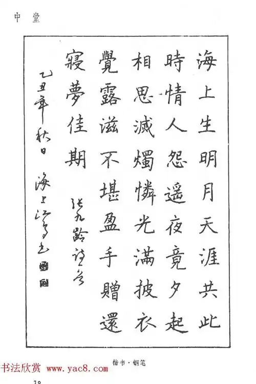 沈鸿根硬笔书法字帖江鸟钢笔书法5