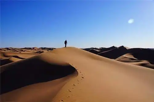 无垠的沙漠戈壁, 放羊的牧民, 河流湍急的黄河, 河套平原上的草原和