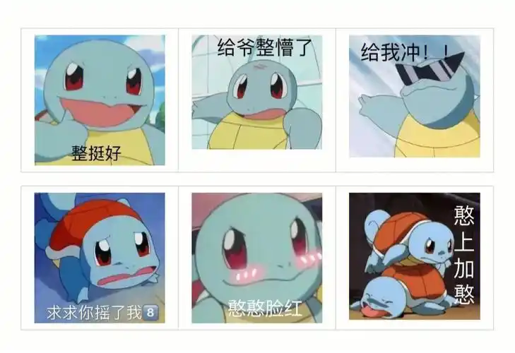 憨憨杰尼龟表情包