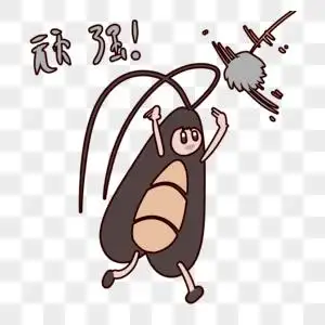 地方_细菌_小强