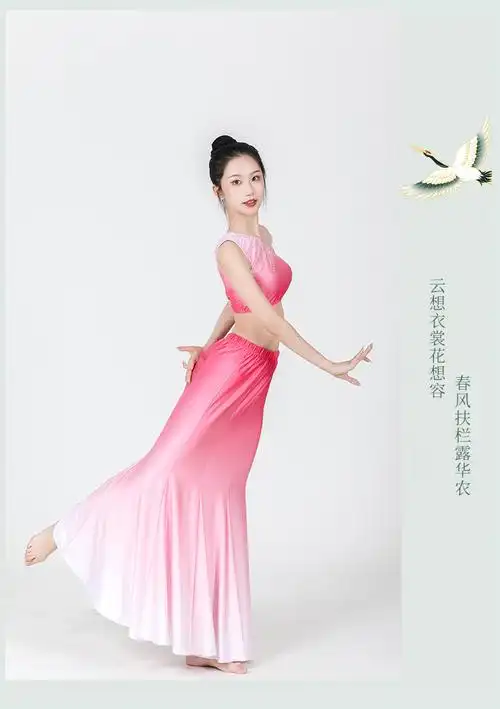 节日演出服傣族舞蹈服艺考傣族服装女表演出服民族舞蹈艺考孔雀舞练功