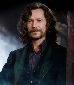 小天狼星布莱克q版简笔画