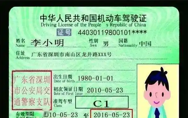 姓名,性别,出生日期,国籍,住址,身份证明号码(机动车驾驶证号码),照片