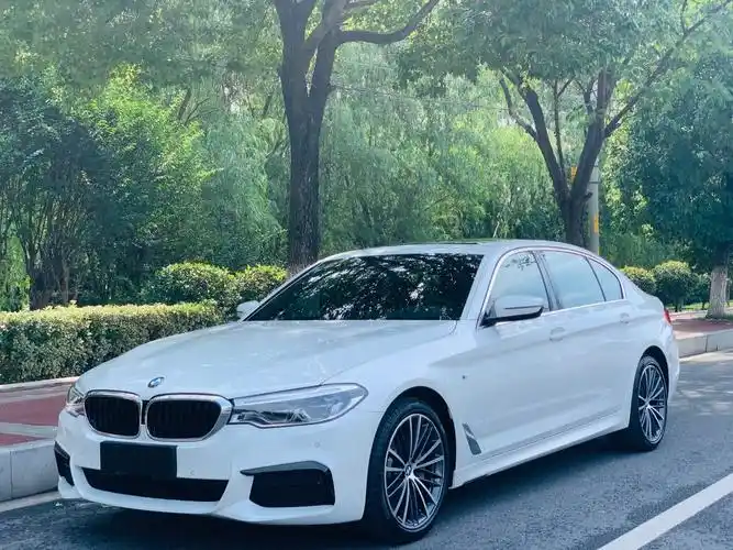 宝马 宝马5系  2020款 530li 领先型 m运动套装图片