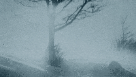 499_281gif 动态图 动图