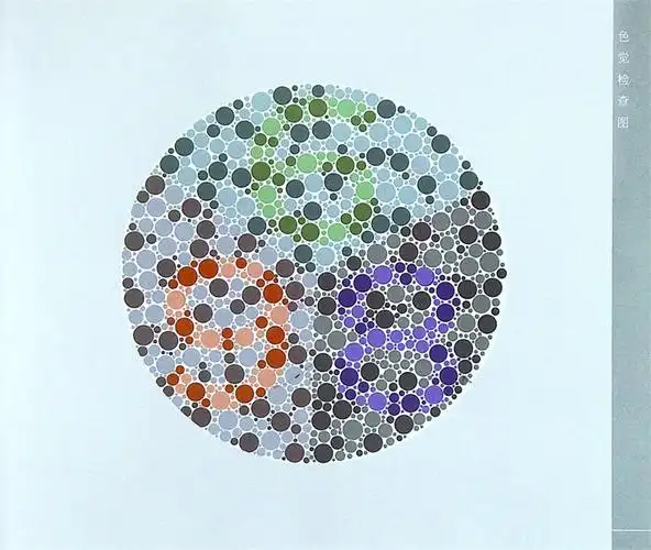 色盲检查色觉正版测试图谱辨色检测新版色弱耳鼻喉科学