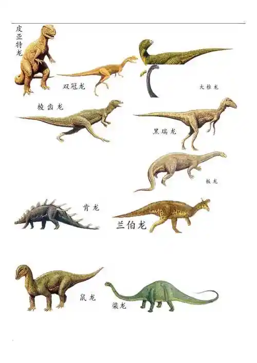 恐龙资料以及图片