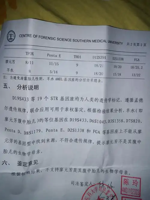 我做的试管婴儿,这个是母子亲子鉴定结果,请帮我看看有没有母子亲子